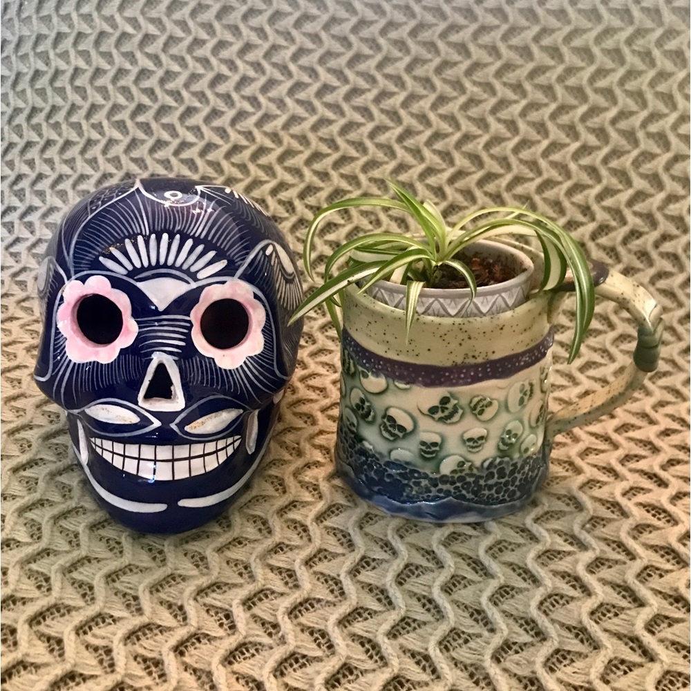 💀Unique Skull Gift Set💀 - Picture 2 of 11